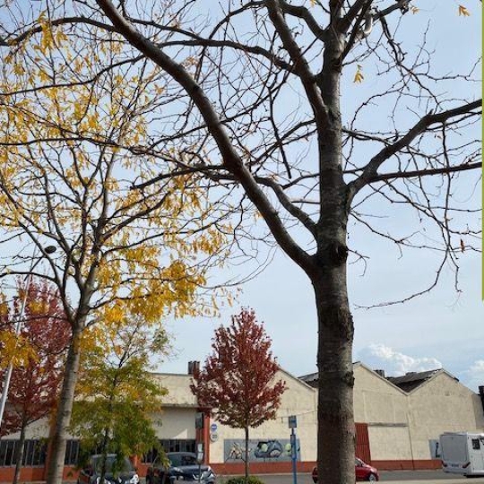 Annonces SAINTGENISLAVAL : Local / Bureau | CHAPONNAY (69970) | 1200.00m2 | 550 000 € 