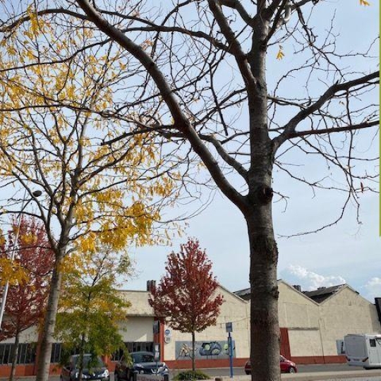  Annonces SAINTGENISLAVAL : Local / Bureau | GIVORS (69700) | 1 200 m2 | 996 500 &euro; 