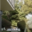 Annonces SAINTGENISLAVAL : Appartement | LYON (69008) | 61 m2 | 285 000 &euro; 